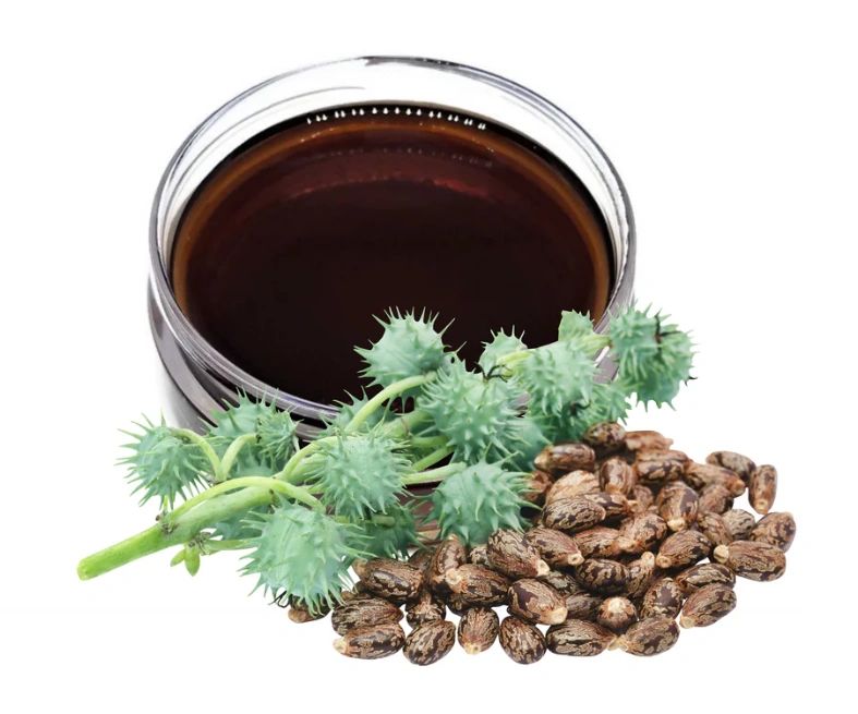 Haitian Castor Oil