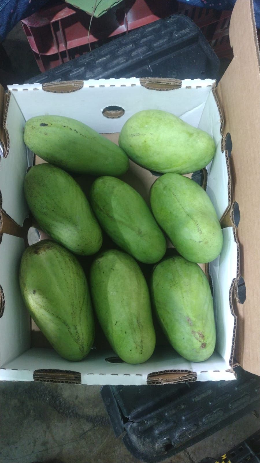 Mango Francisque